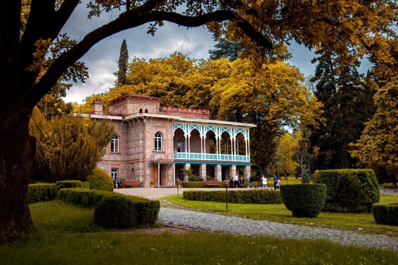 Nino'S House Διαμέρισμα Tsinandali Εξωτερικό φωτογραφία