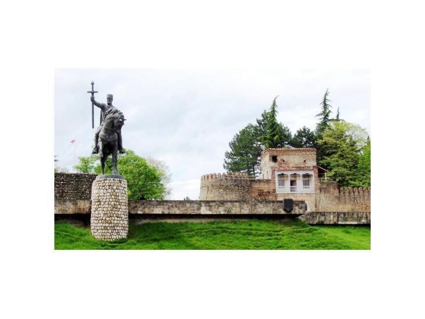 Nino'S House Διαμέρισμα Tsinandali Εξωτερικό φωτογραφία